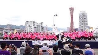 四天王寺大学YOSAKOIソーラン部 仏喜踊 @ 神戸よさこいまつり (高浜緑地会場) 2019-08-31T13:42