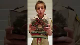 Evan Guenthner Boy Scout Troop 358 2016 Wreath Sale