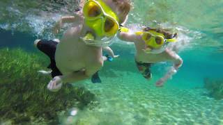 Kids snorkeling in freshwater spring 4K