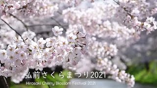 【東北・青森】弘前さくらまつり2021/ Hirosaki Cherry Blossom Festival 2021