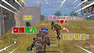 Lan Yi: Team up with Benben，Xiaomeng in PUBG Mobile！