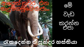 නැදුම්ගමුවෙ රාජා| Nedungamuwa Raja| කවි