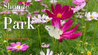 A must-visit park in Shunde! Spring knocks!