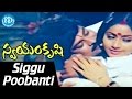 Swayamkrushi Songs || Siggu Poobanti Video Song || Chiranjeevi | Vijayashanti || K. Viswanath
