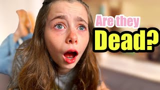 Did My Parents Actually Die Part 4 Huge Update The Mcfive Circus Mp3