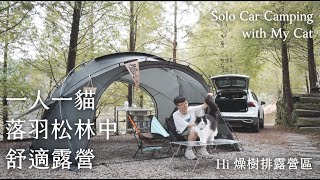 Solo Camping with My Cat in the Bald Cypress Forest｜Shelter GP｜Cozy RELAX,  SLEEP｜ASMR｜Taiwan EP11