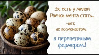 У Кати домашняя перепелиная ферма и много секретов. Раечка записывает их. Гепалан,Ветоспорин-Ж - био