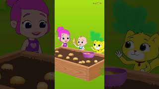 Potato Song | One Potato, Two Potatoes | Nursery Rhymes \u0026 Kids Songs