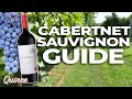 Cabernet Sauvignon: What You Need To Know About The Great Colonizer