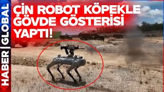 Çin Askeri Robot Köpeği Görücüye Çıktı! Sahada Bakın Neler Yaptı!