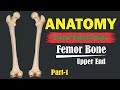 Skeletal System | Bones of Lower Limbs | Femur Bone | Anatomy of Femur Bone