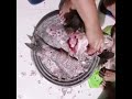 বটি দিয়ে সঠিক ভাবে মাছ কাটার নিয়ম। fish cutting at home.