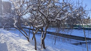 Just walk through President's Park in Kazakhstan