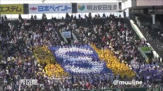 秀岳館 (熊本) アルプス応援 高校野球応援歌 2016センバツ 甲子園 チアリーダー