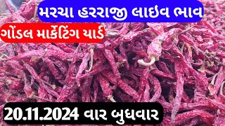 ગોંડલ મરચા ની હરાજી લાઇવ | 20-11-2024 | Gondal marketing yard | Bhojaninews