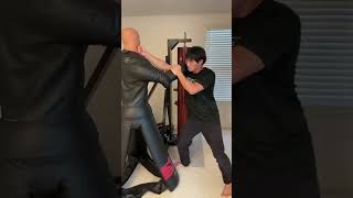 JKD Quick Straight Lead Attacks with 5 Gates Parrying Tutorial #shorts