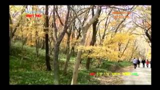 K-ROADTRIP KOREA  seonunsa-dosolam Road Of Fall Red Leaves 선운사-도솔암 단풍길1