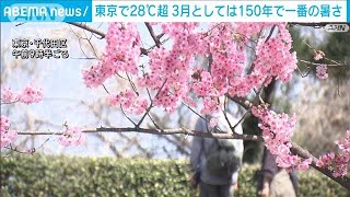 東京で28℃　記録的な暑さ(2024年3月31日)