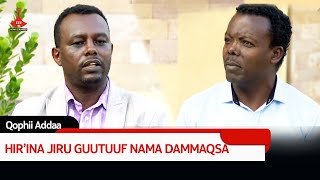 Qophii Addaa - HIR’INA JIRU GUUTUUF NAMA DAMMAQSA  etv |Ebc  |Etv Afaan Oromoo| Etv Afaan Oromoo