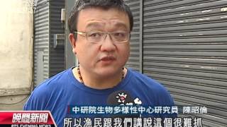 20120608-公視晚間新聞-愛鯊DNA生命條碼研究 計畫獲成果.mpg