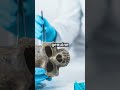 The Crystal Skulls: Ancient Mysteries or Modern Hoax?  #mistery #history #ancient