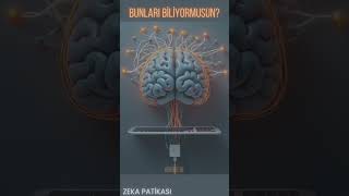 BUNLARI BİLİYORMUSUN? #24