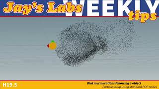 Bird murmurations following a object
