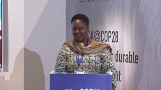 Africa@COP28 : AfDB- Mobilising Private Climate Finance – The Role of the African Financial Sector