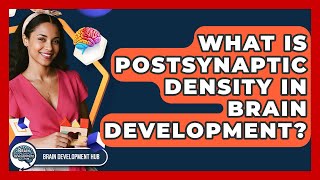 What Is Postsynaptic Density In Brain Development? - Brain Development Hub