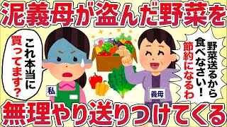 泥義母が盗んだ野菜を無理やり送りつけてくる【女イッチの修羅場劇場】2chスレゆっくり解説