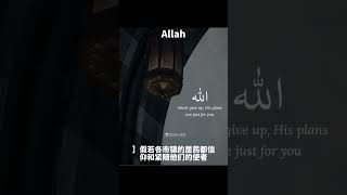 古兰经注释（高处章）#allah #古兰经 #穆罕默德 #islam #kuran #伊斯兰