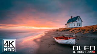 NEXT-LEVEL 4K HDR VIDEO | Dolby Vision 240FPS | MOST POWERFUL HDR VIDEO