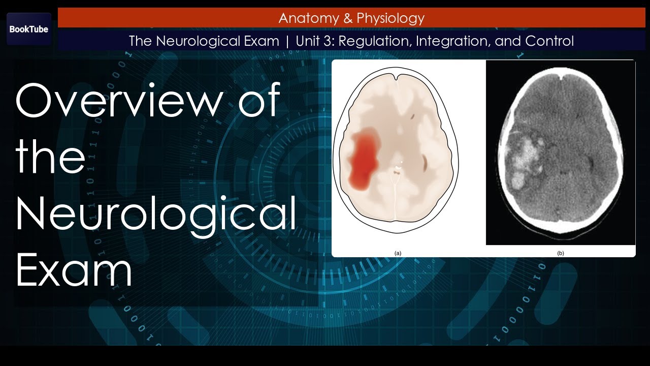 Overview Of The Neurological Exam | The Neurological Exam - YouTube