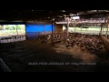 Download Indonesia Salted Duck Egg In Mp4 3Gp Full HD Video