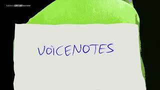 Skillibeng - Voice Notes ; Like Me/ Love Letter/ Dry Eye 