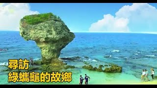 【預告】絕美珊瑚礁島 保護綠蠵龜大作戰！