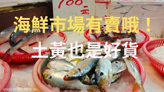 （第56集）Taiwan 釣魚樂-土黃刺多也是好貨-魚市場也有賣#臺灣釣魚