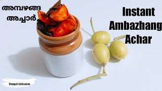 അമ്പഴങ്ങ അച്ചാർ/Instant Ambazhanga Achar/Instant Hog Plum Pickle Using Pickle Powder/Ep:124