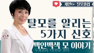 🌻백인백색모이야기👉🏻탈모를 알리는 모발과 두피의 5가지 신호