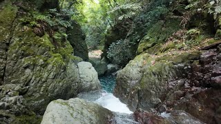 水無瀬川　山吹渓谷 沢登り