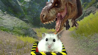 Hamster in Forest with Dinosaurs on Roller Coaster + Bonus Maze