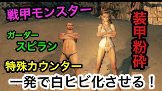 【DDON】装甲一撃破壊カウンターを狙ってみた！スピランのガーダーで