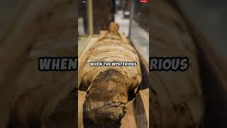 The Shocking Discovery of Ancient Egyptian Mummies at Qubbet el-Hawa #shorts