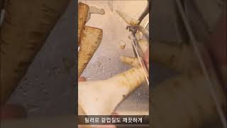 땅에서 나는 페로몬 영양 덩어리 파스닙 수프 만들기