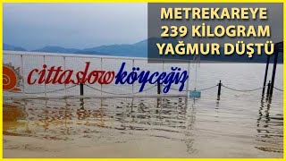 Köyceğiz Gölü Taştı, Menteşe'de de Ahırları Su Bastı