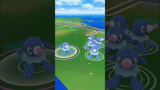 Shiny Popplio Encounter on Community Day | Pokémon GO #pokemongo #pokemon #shinypopplio #shorts