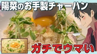 【聖地巡礼】陽菜のお手製チャーハンウマすぎwww！爆笑ドライブ旅#3【田端・六本木・芝公園・天気の子カフェ】