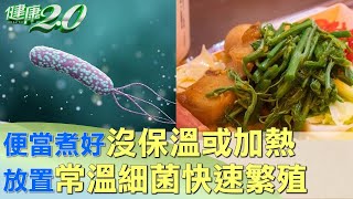 便當煮好沒保溫或加熱 放置常溫細菌快速繁殖 健康2.0 @tvbshealth20