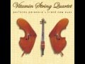 I Caught Myself - Vitamin String Quartet Tribute to Paramore's