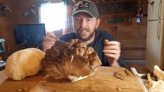 Hen of the Woods First Find!